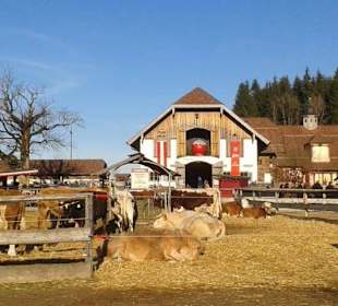 Adventmarkt auf Gut Aiderbichl 2016