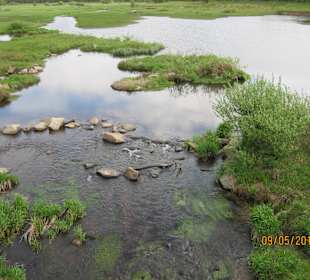 Rundwanderweg 1A  der Perlsee