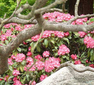 Planten und Bloomen Freizeitpark