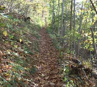 Wandertour "Rund um den Rossberg" Öschingen