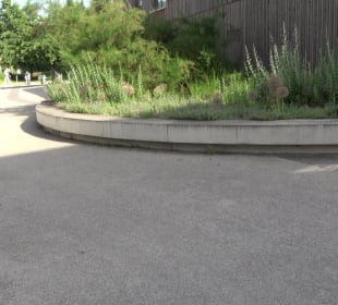 Schwetzinger Terrasse