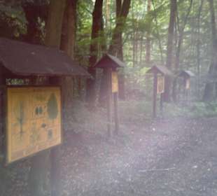 Tafeln im Wald Beschreibung