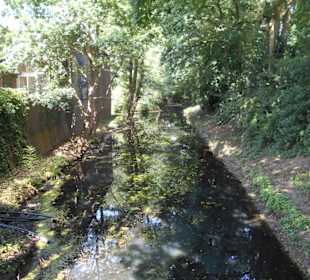 Wassergraben Schloss Moyland