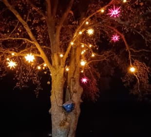 Adventszeit 