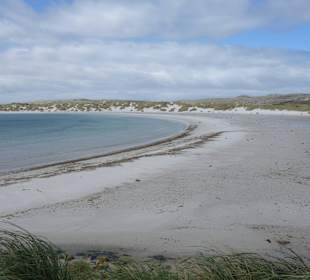 Yorke Bay - keine Pinguine