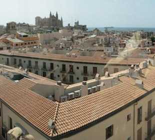 Palma Panorama 