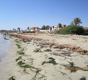 Strand links vom Hotel - Hotel Iberostar Safira Palms