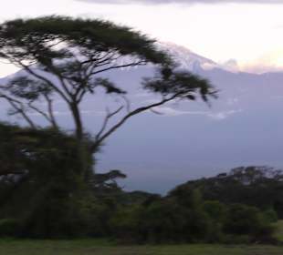 Amboseli