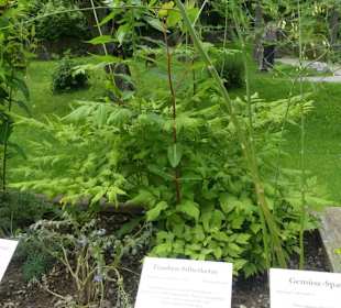 Kräutergarten