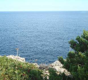 Blick vom Wanderweg aufs Meer