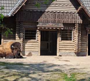 Zoologischer Garten Köln