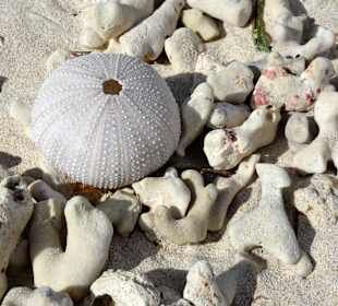 Impressionen von der kleinen Insel