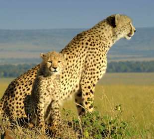 Mutter Shakira und ihr Kind