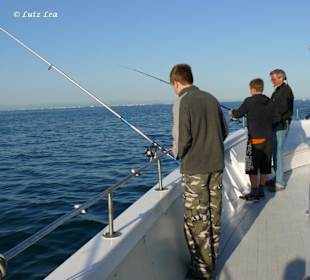 Beißt wohl keiner an?