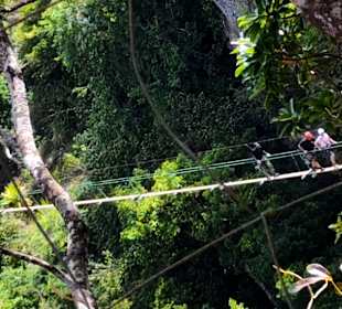 Casela Nature & Leisure Park