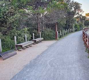 Geht bis zum Leuchtturm vor