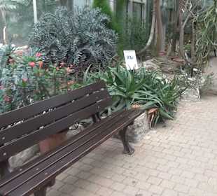 Tropicarium - Trockentropen