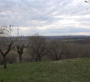 Der Grafenberg