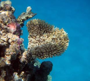 Bilder vom 13.10.16 von mir geschossen