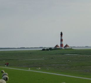 Blick vom Deich hinter dem INFO-Hus zum Leuchtturm