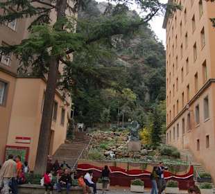 Edificios del complejo y la vegetación detras