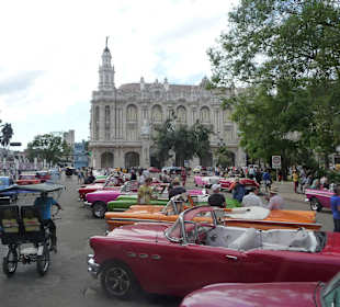 Blick auf "bunte" Autos