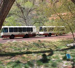 Shuttlebus im Zion Nationalpark