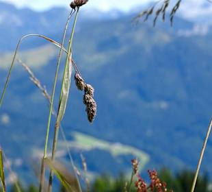Natur Grafenberg