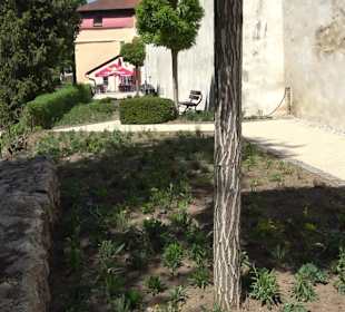 Rosengarten Nördlingen