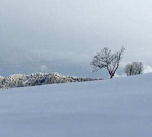 Wandern Oberstaufen