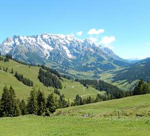 Grüne Almen am Hochkönig