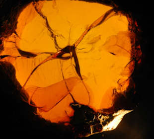 Könnte ein modernes Bild sein