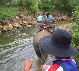 Baan Chang Thai Elefanten Camp