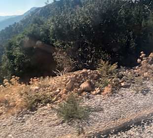 Buggy Tour Side / Manavgat