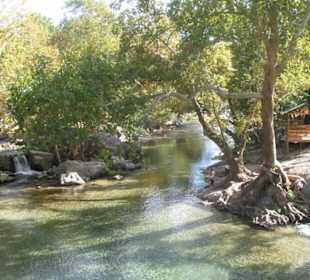 Hier gab es fangfrische, gegrillte Forellen
