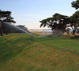 Die Sprenger laufen am frühen Morgen