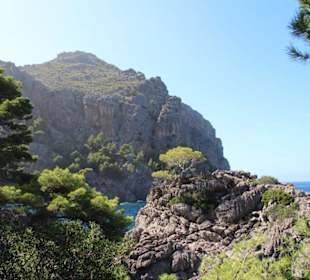 Fahrt nach Sa Calobra/Torent de Pareis   41