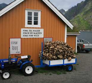 (Trocken-)Fisch zu verkaufen