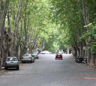 Allee in der Altstadt
