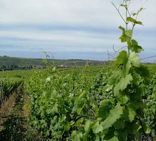 Stadtrundgang Nordheim am Main