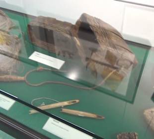 Meeresmuseum Stralsund