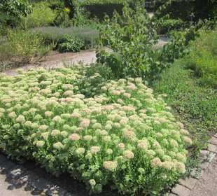 Kurpark Bad Bergzabern