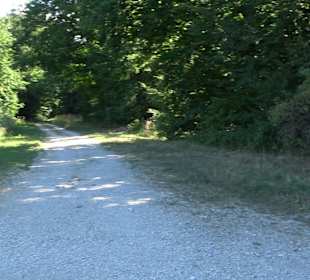 Wandertour Greifensteinrunde