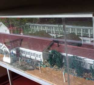 Elefantenreiten Sigiriya