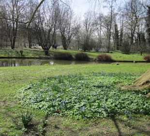Schlossgarten Schwetzingen