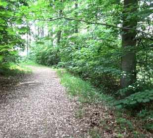 Premiumwanderweg "hochgelegen"