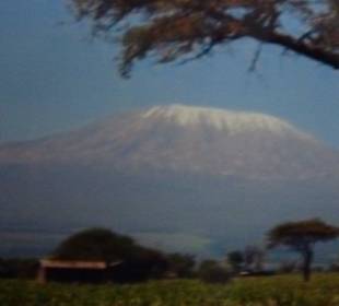 Kilimanjaro