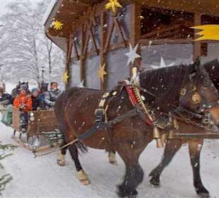 Schlittenfahrt beim Christkindlmarkt am Thiersee