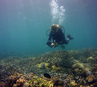 Schnorcheln Tejakula 