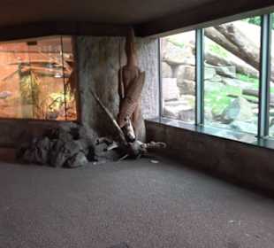 Tierpark Hellabrunn - Welt der Affen